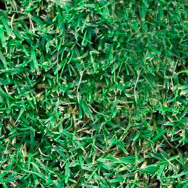 legend couch Legend couch turf