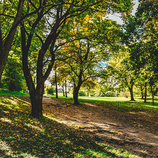 Parks and gardens landscaping supplies