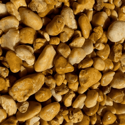 Cowra Gold 20mm(1) Cowra Gold 20mm pebbles
