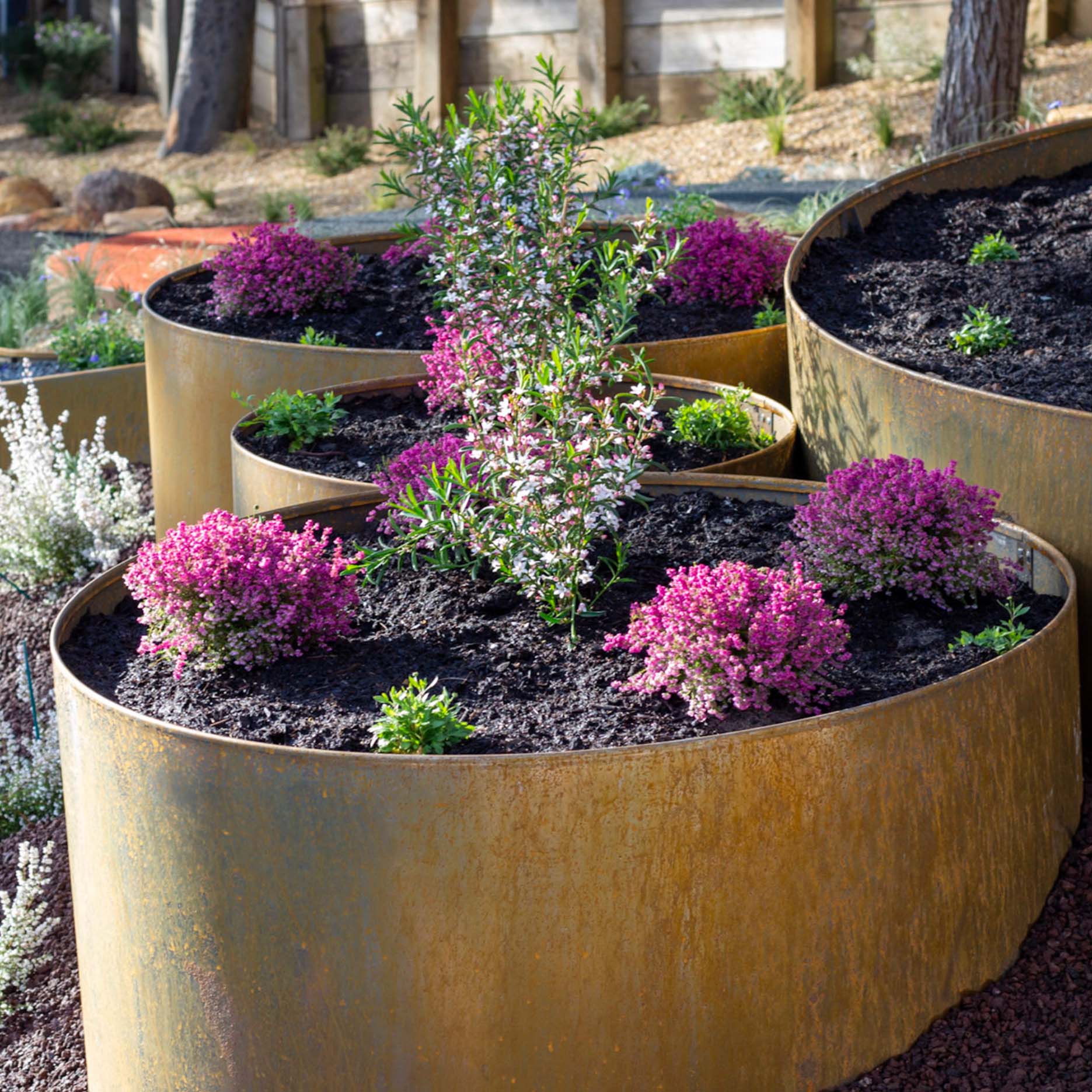 Shapescaper steel garden edging product