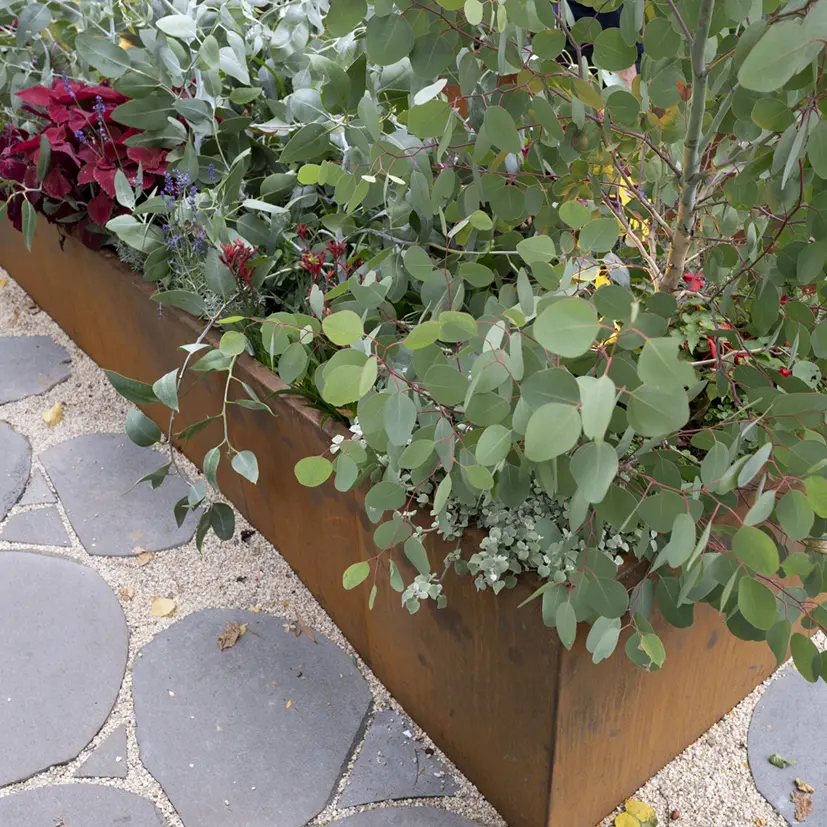 Shapescaper steel garden edging in a landscaped garden